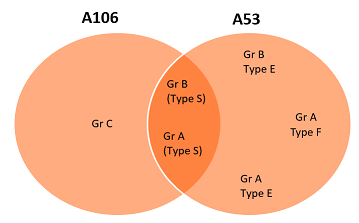 A106 A53